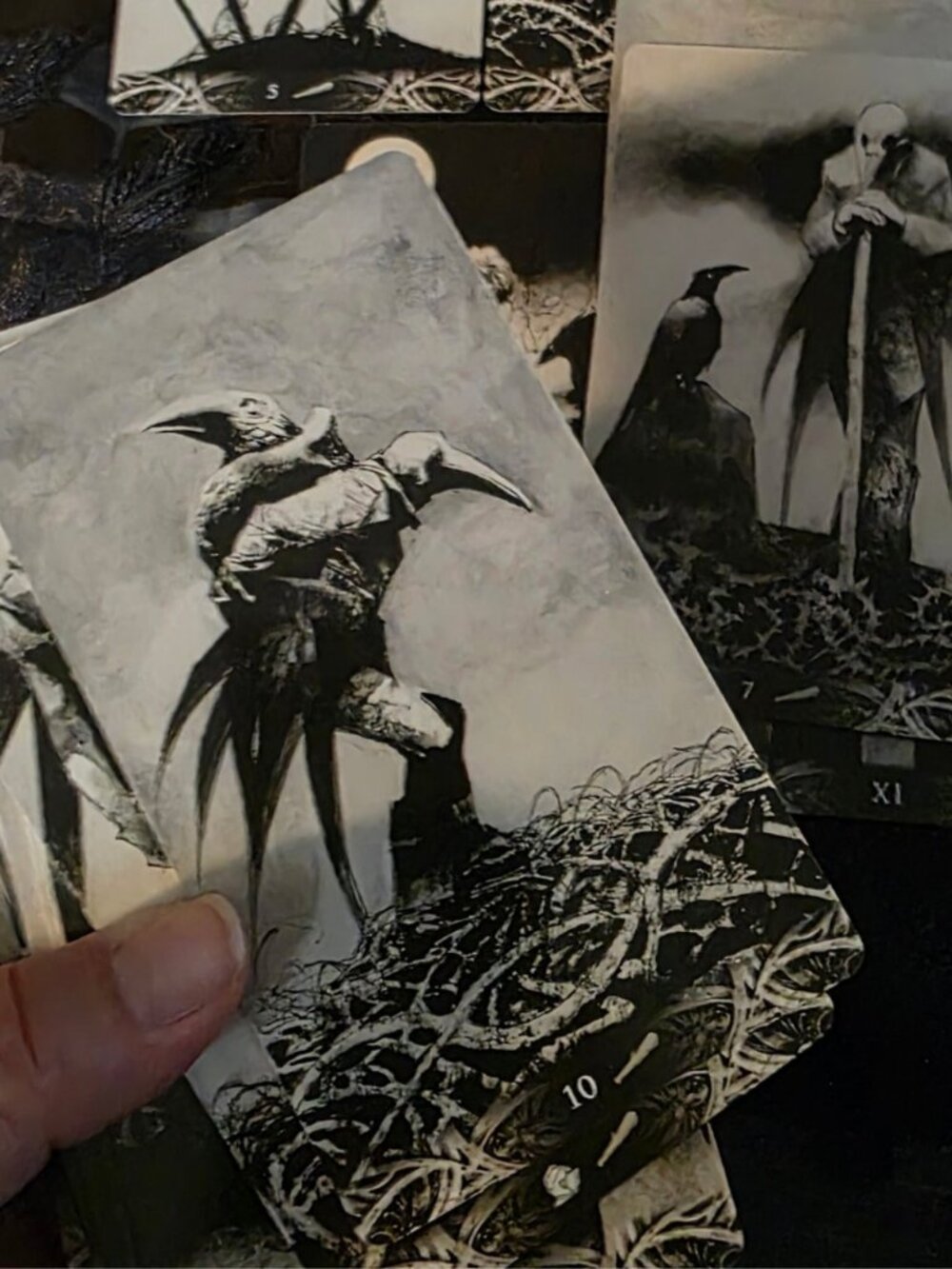 Murder of Crows Tarot Deck Corrado Roi Lo Scarabeo Gothic Raven Divination Cards